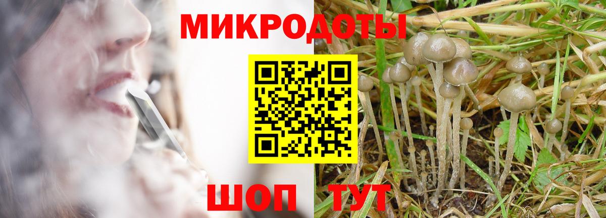 Галлюциногенные грибы MAGIC MUSHROOMS Железноводск